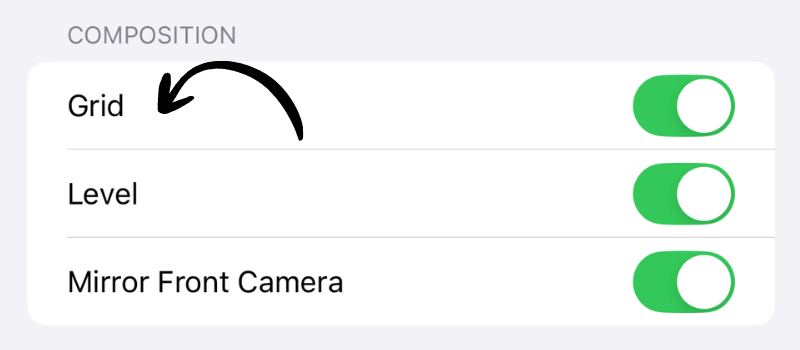 Camera grid toggle