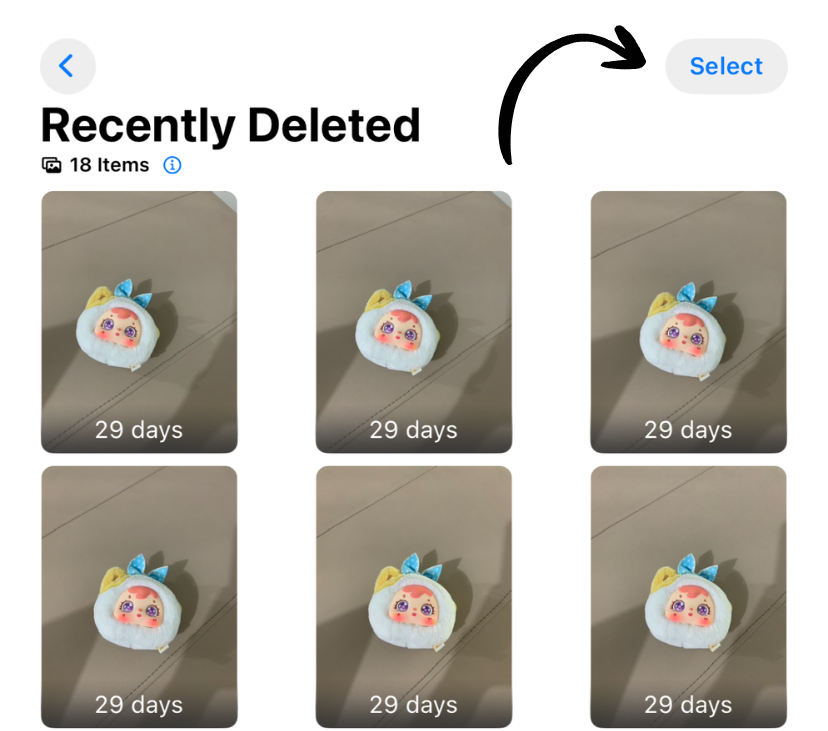 Delete All in Recently Deleted
