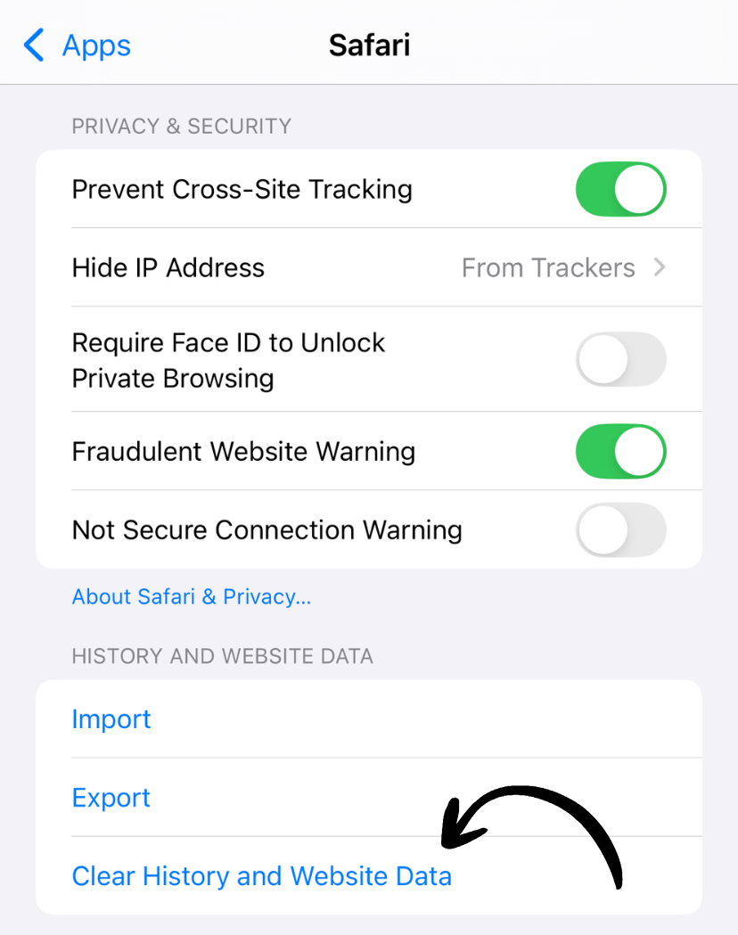 Clear History and Website Data option