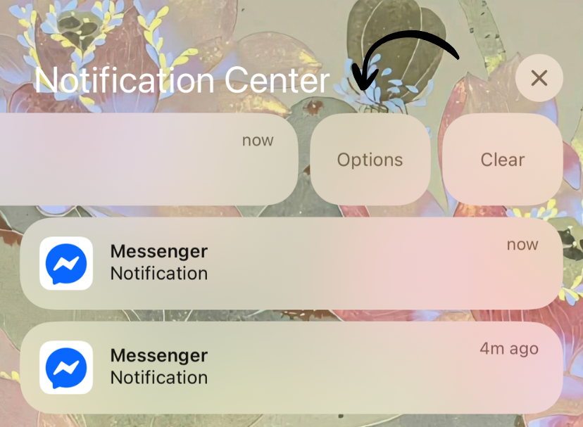 Quick notification options