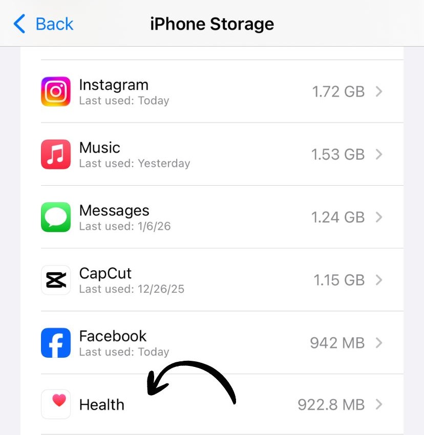 App list in iPhone Storage